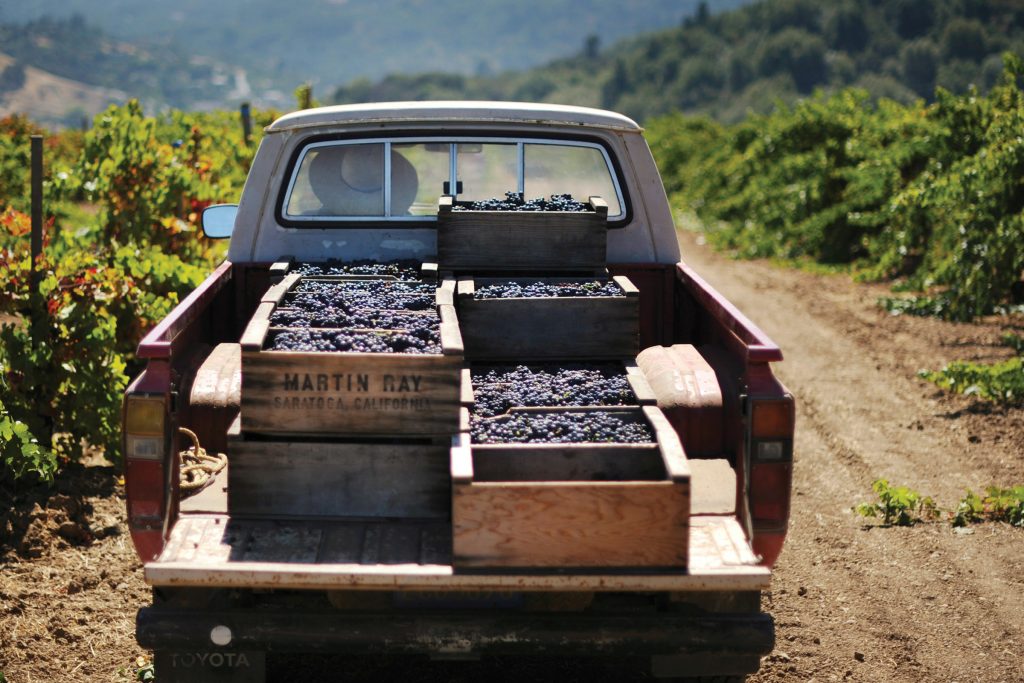 California Wines: Styles to Drink Outside the Box