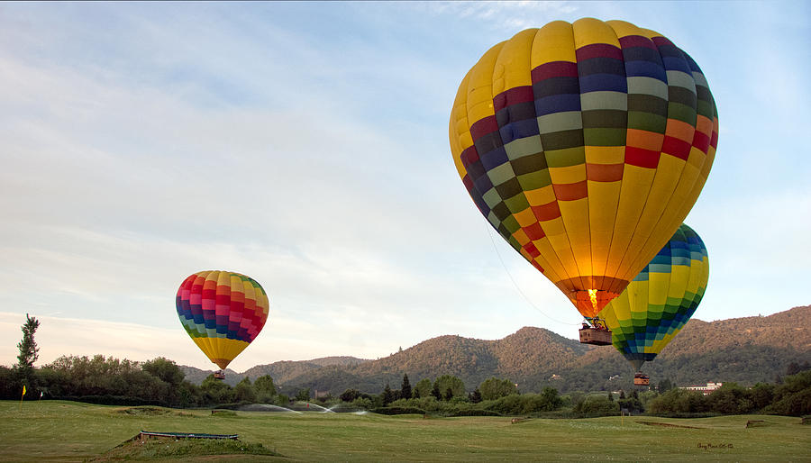 California Wines: Styles to Drink Outside the Box