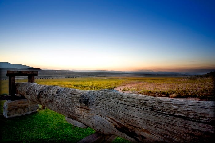 Why Navarra is your Next Favourite Spanish Wine Region