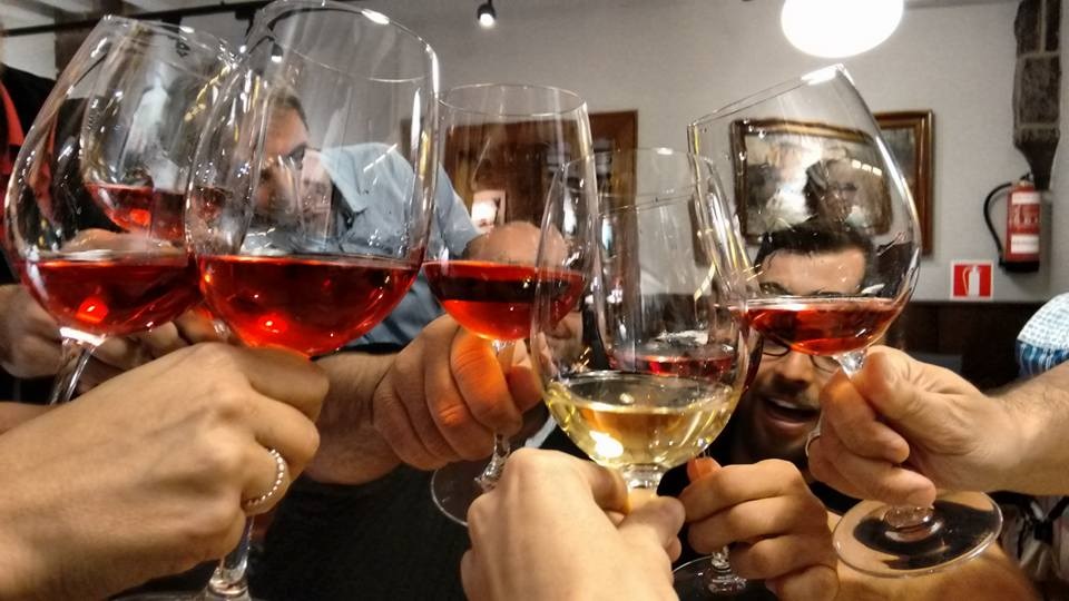 Why will Navarra Become your Next Favourite Spanish Wine Region