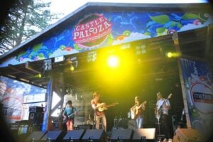 Castlepalooza-RuthMedjber-56