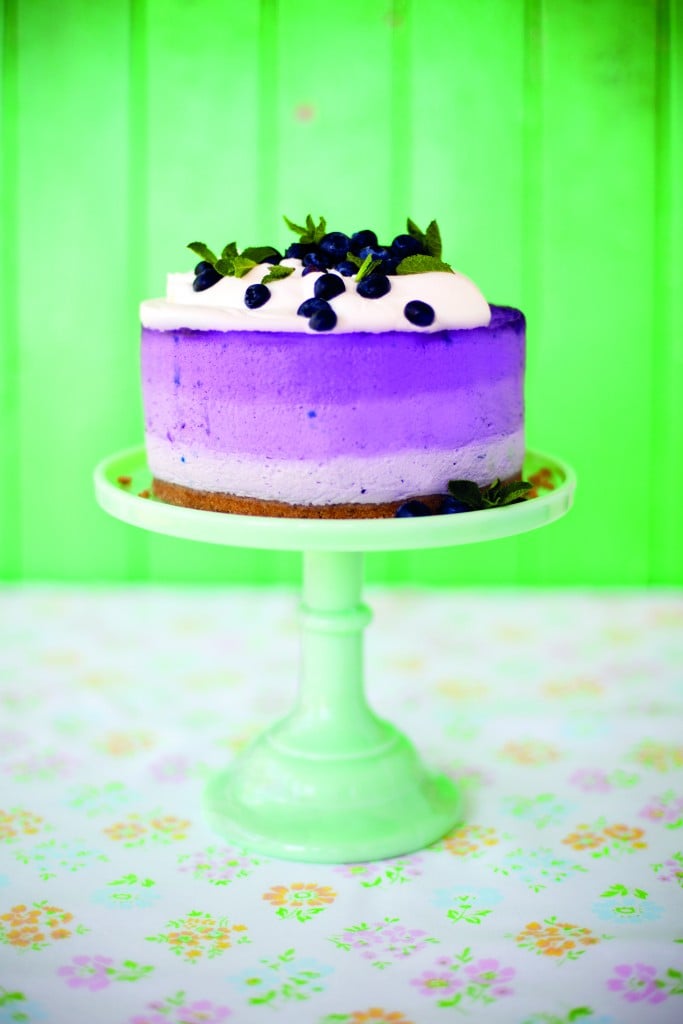 Sharon Blueberry Cheesecake_1