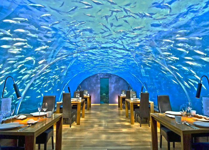 Ithaa Underwater