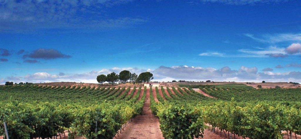 spain_ribero_del_duero 3