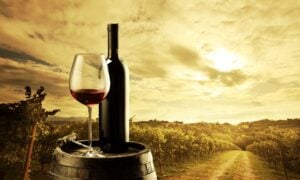 Wine