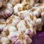 garlic