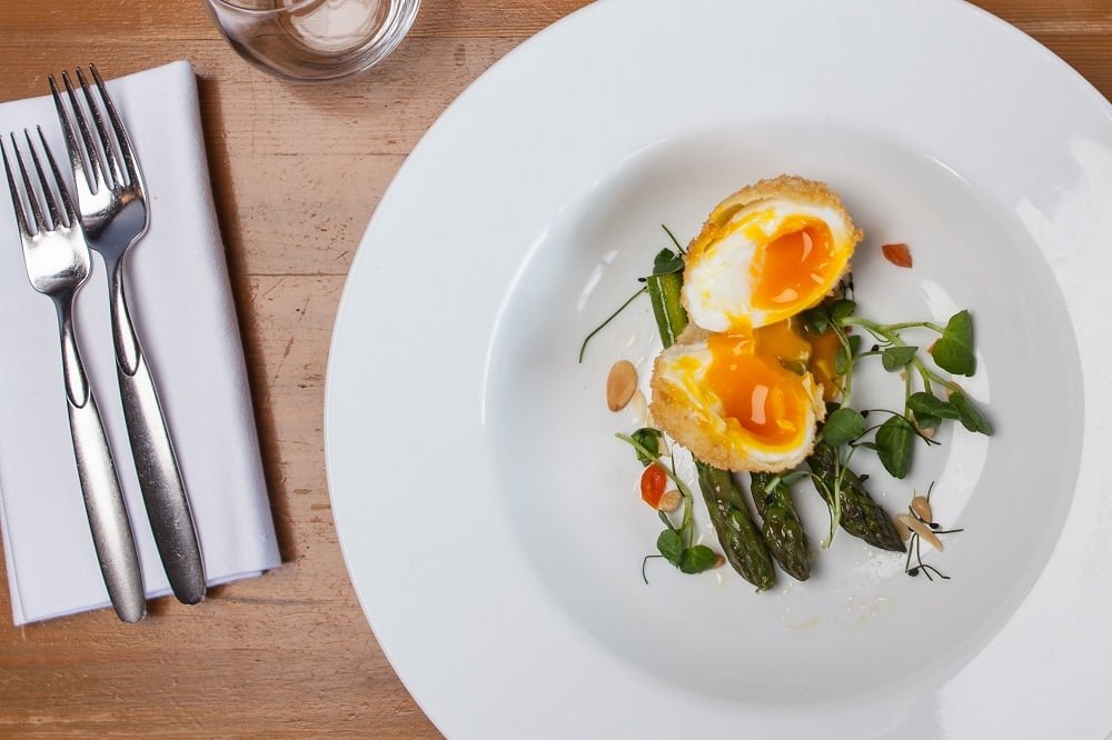 egg feature Gaz