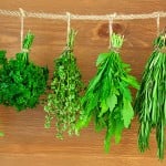herbs