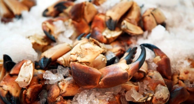 Crab Claws Summer Market Food