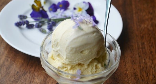 my nutrition ice cream