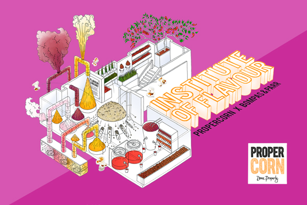 PROPERCORN Institute of Flavour
