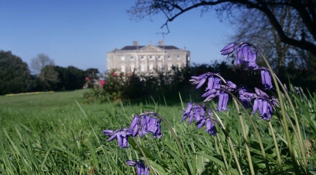 Castle Ward Gardens