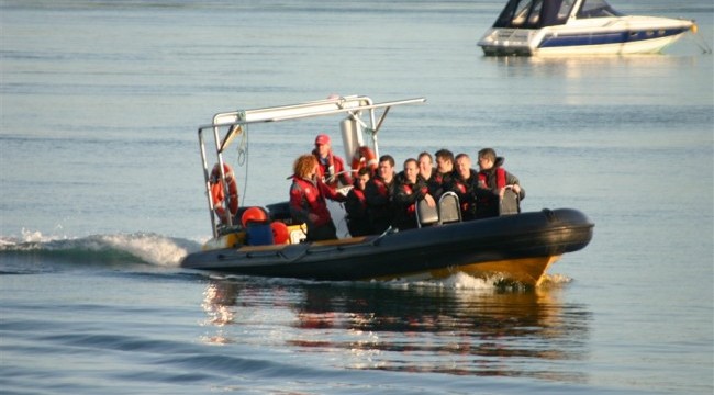Strangford-Sea-Safari