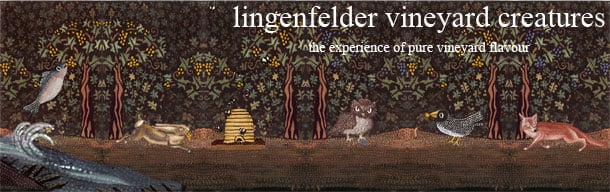 Wine Wednesday pick from O’Briens: Lingenfelder Hare Label Gewürztraminer 2013