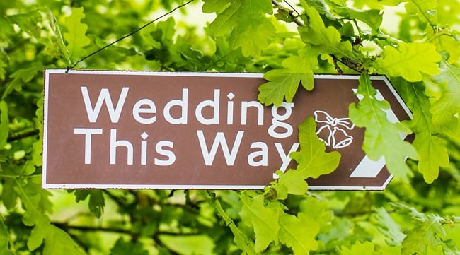 Catherine Allen Wedding Clonabreany house