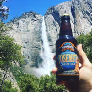 California Craft Beer Road Trip and the Search for Pliney The Elder