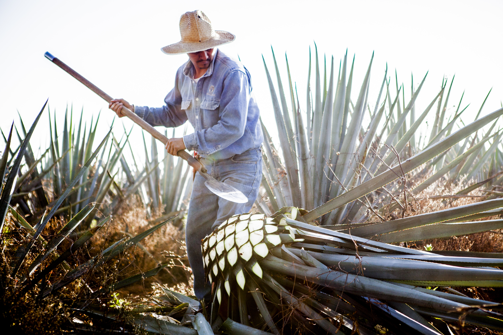 mexican spirits