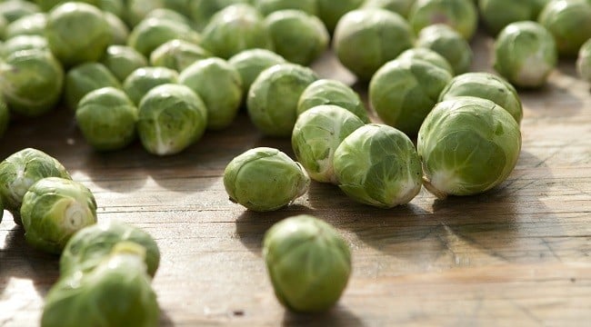 brussels-sprouts
