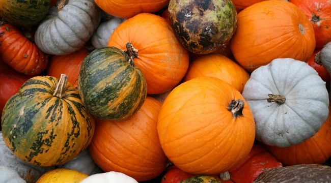 pumpkins