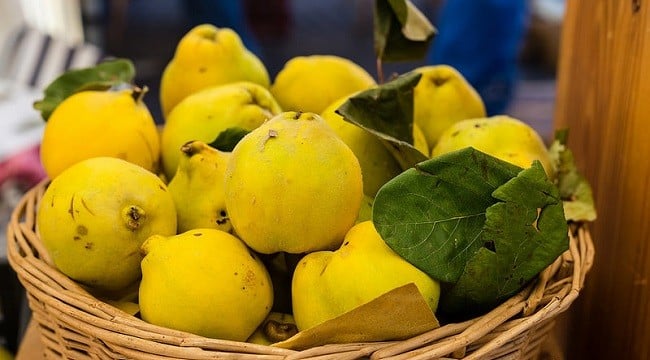 quince