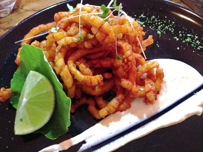 Squid