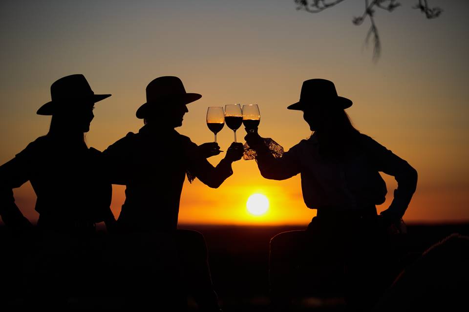 Elegance and Refinement: Discover the Fourth Wave of South American Wines