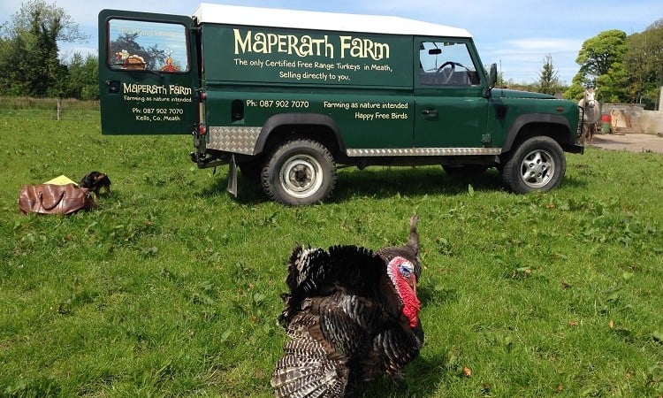 eoin sharkey Maperath Farm