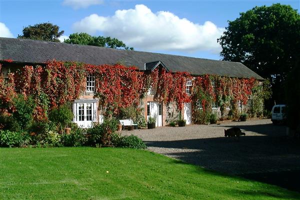 Find Your Inner Chef at a Cookery School Experience in Northern Ireland