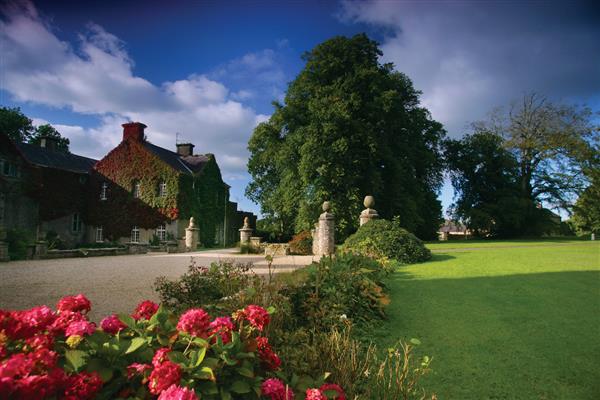 Find Your Inner Chef at a Cookery School Experience in Northern Ireland
