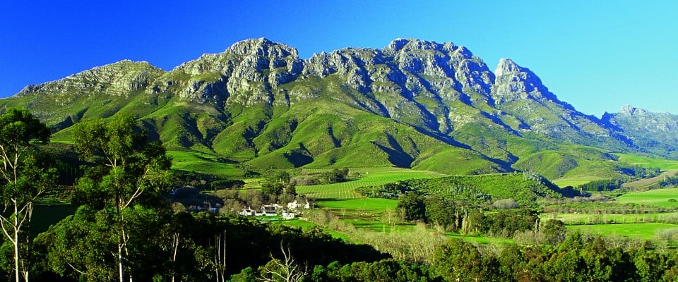 The Greatest Cape: Rustenberg & The South African Renaissance
