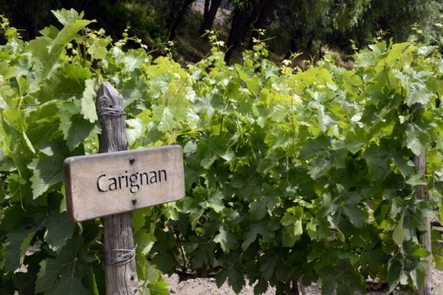 10 New Year's Resolutions for Wine Lovers to Help you Savour 2017
