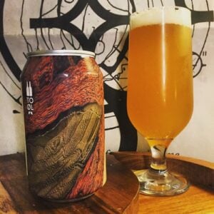 Northern Ales: Scandinavian Craft Beers to Try Now