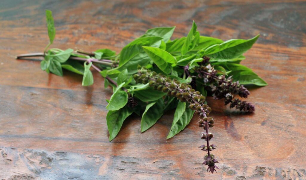 10 Essential Ingredients of Thai Cooking 3