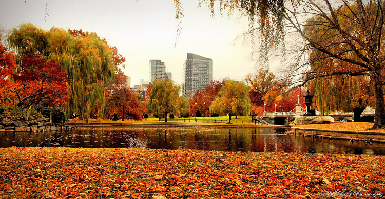 Up and Coming Romantic Holiday Destinations for Wanderlovers [February Edition]