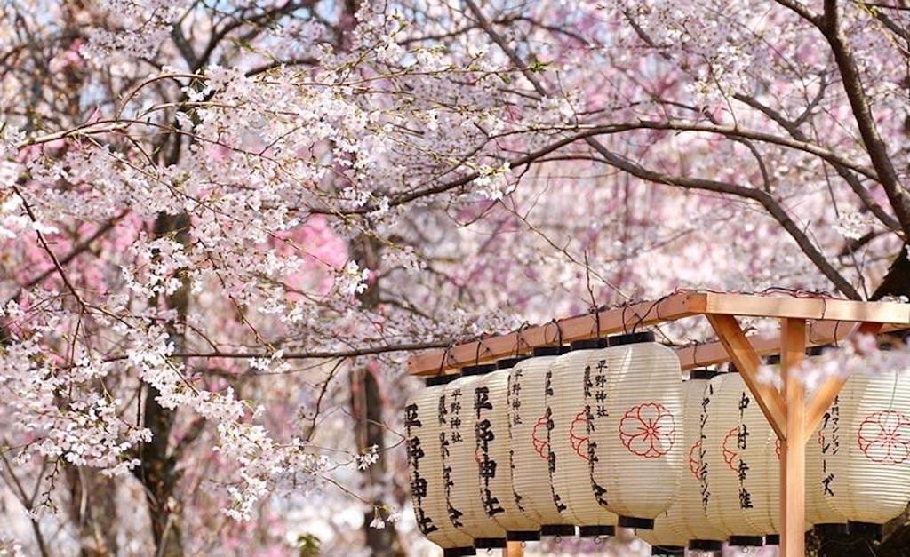 Spirited Away: A Taste of Asia's Amazing Traditional Drinks