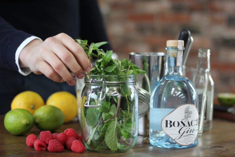 Classic or with a Summer Twist? G&T Recipe to Celebrate International Gin and Tonic Day