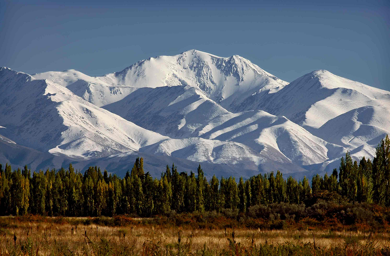 Top Ten Malbecs from Argentina to Celebrate this World Malbec Day