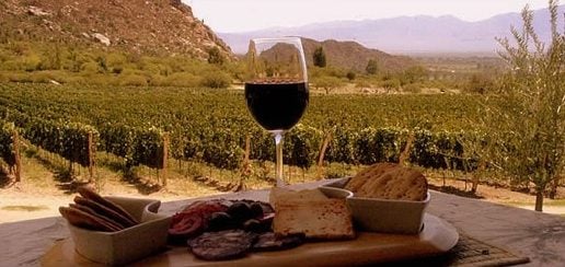 Top Ten Malbecs from Argentina to Celebrate this World Malbec Day