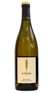 La Piuma Pecorino Terre Chieti IGT 2015