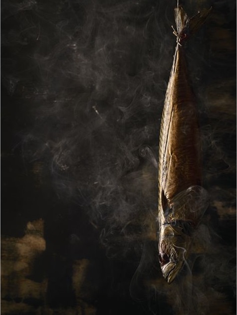 Cream of the Crop Wesley Dombrecht (Belgium)