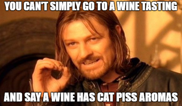 10 Things Sauv Blanc Drinkers will Relate to on Sauvignon Blanc Day May 5th