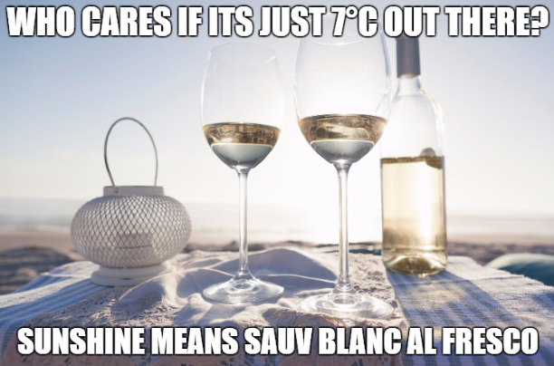 10 Things Sauv Blanc Drinkers will Relate to on Sauvignon Blanc Day May 5th