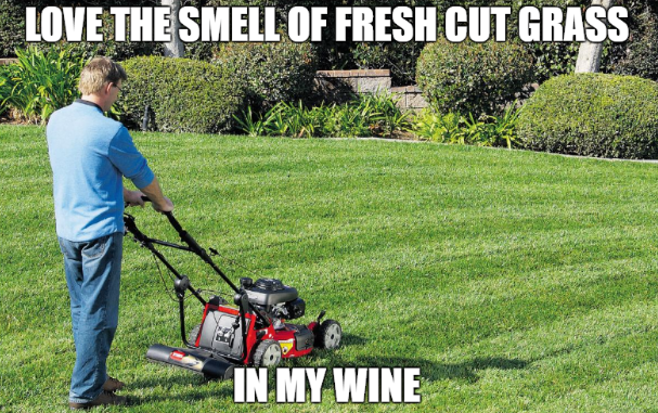 10 Things Sauv Blanc Drinkers will Relate to on Sauvignon Blanc Day May 5th