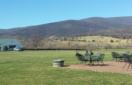 Virginia is for Wine Lovers