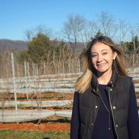 Virginia is for Wine Lovers