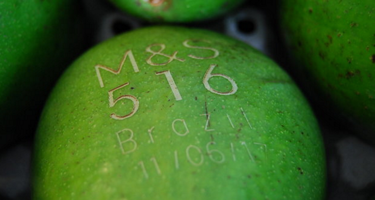 M&S Avacado