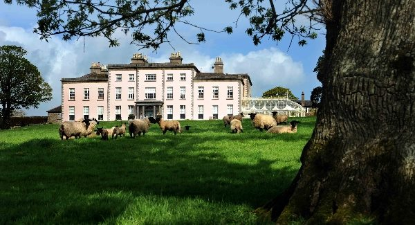 The Past, Present and Future of Winemaking in Ireland longueville