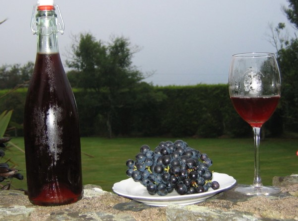The Past, Present and Future of Winemaking in Ireland thomas walk