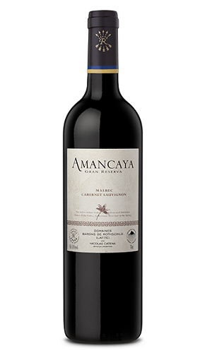 Amancaya 2013 – Wine of the Week from O’Briens Wine