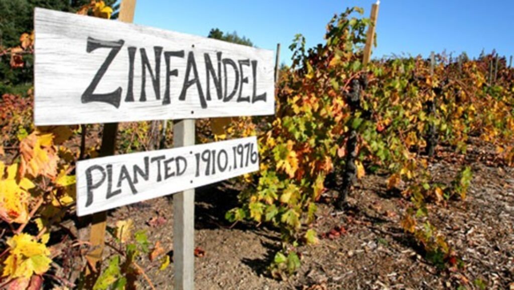 California Zinfandel